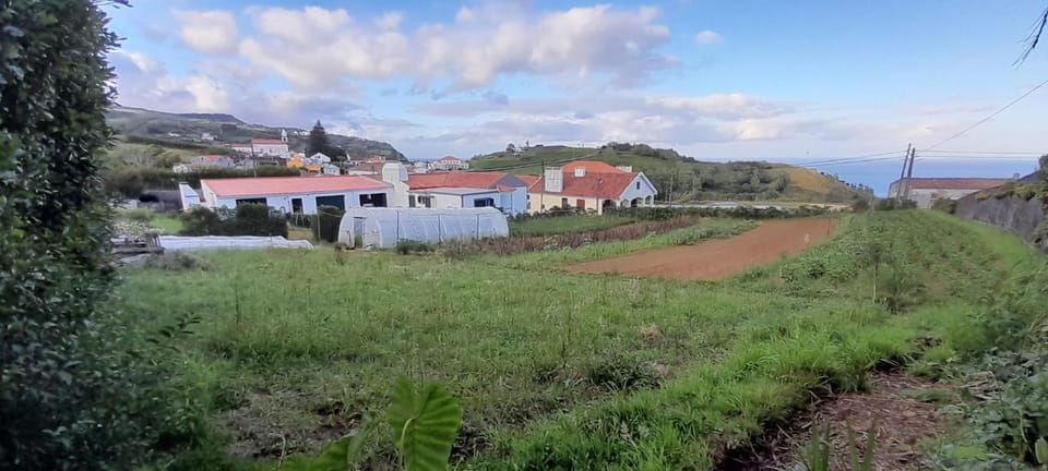 Property building, Day, Natural landscape, Garden, Garden, Hiking, Garden view, Mountain view