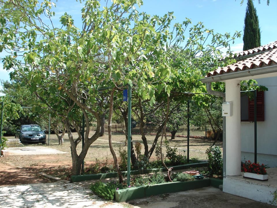 Medel House in Premantura