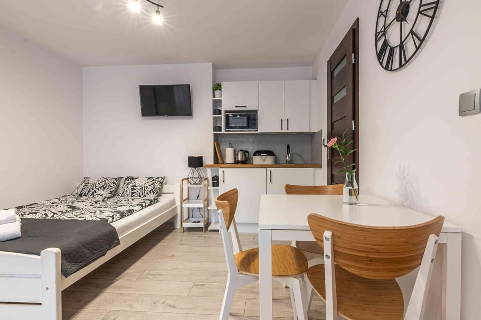 Bed, TV and multimedia, Kitchen or kitchenette, Photo of the whole room, pet friendly