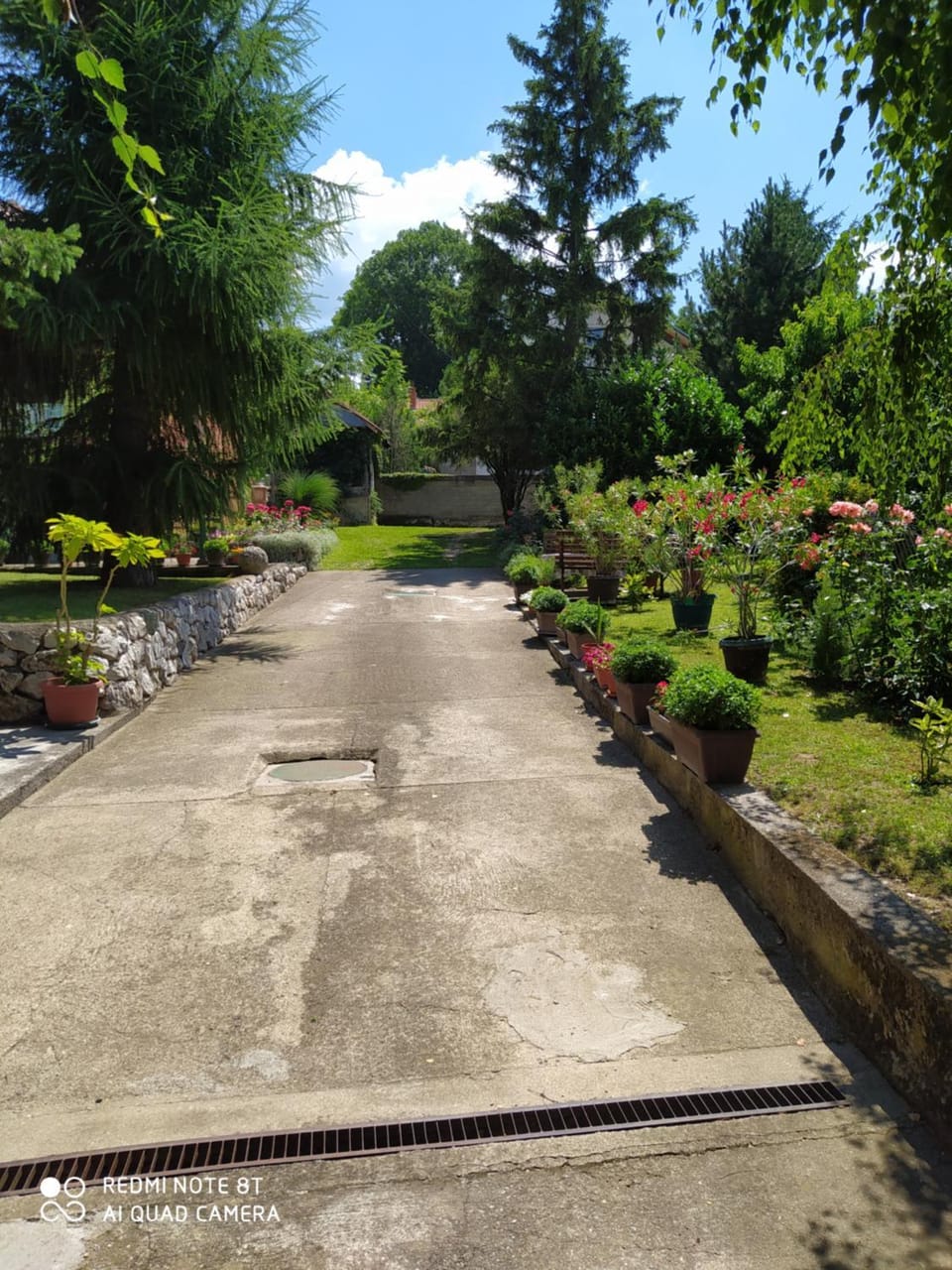 Garden view