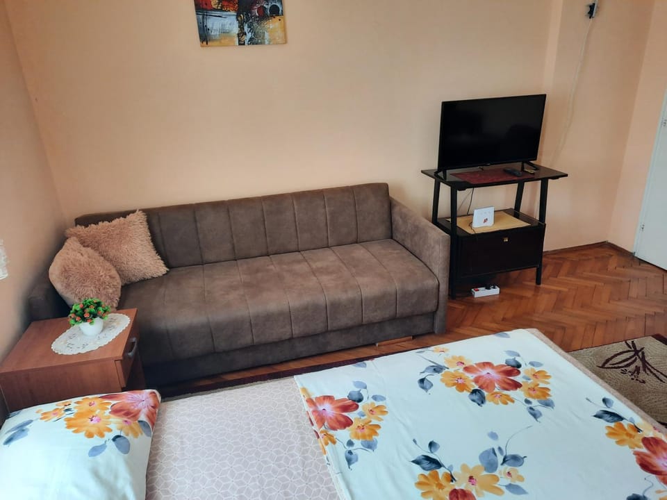 Apartman Izvor Apartment in Serbia