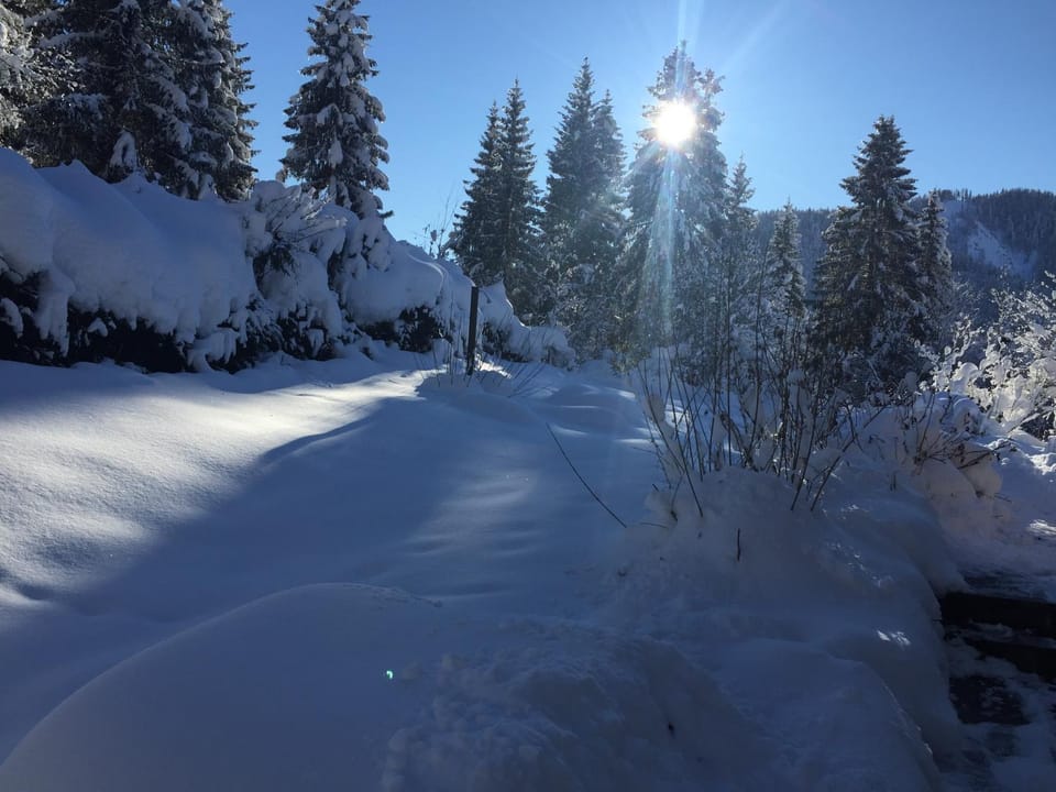 Winter, Garden, View (from property/room)