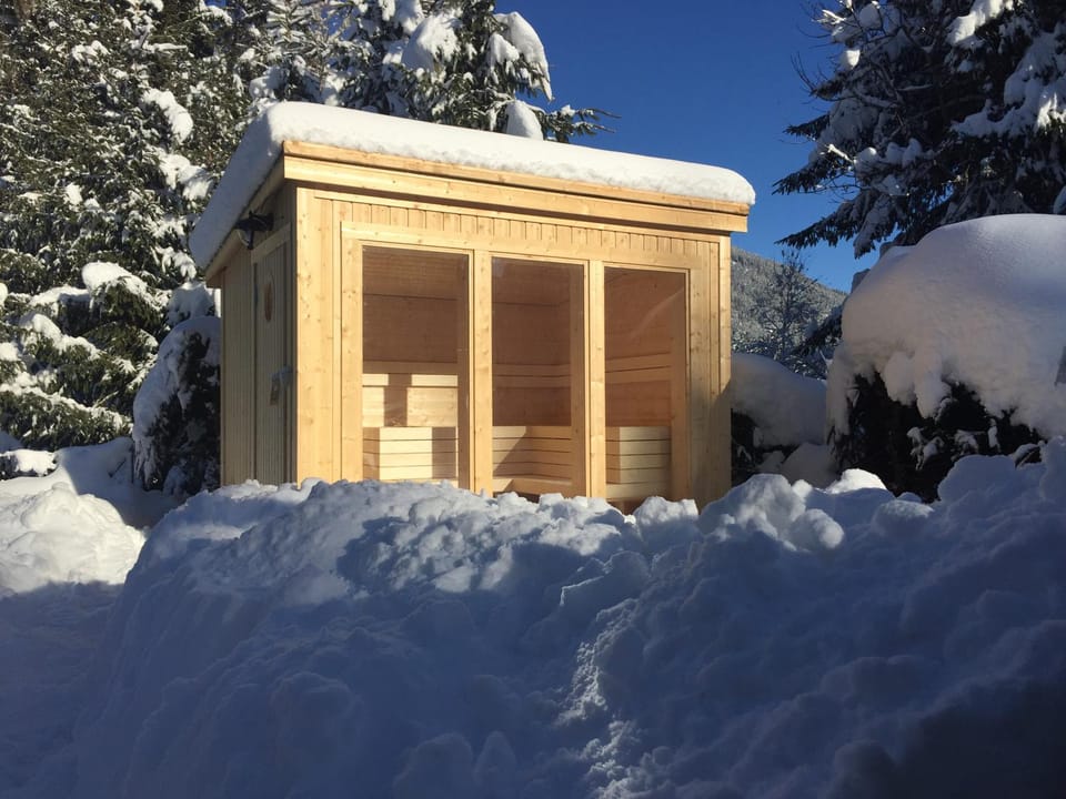 Winter, Garden, Sauna