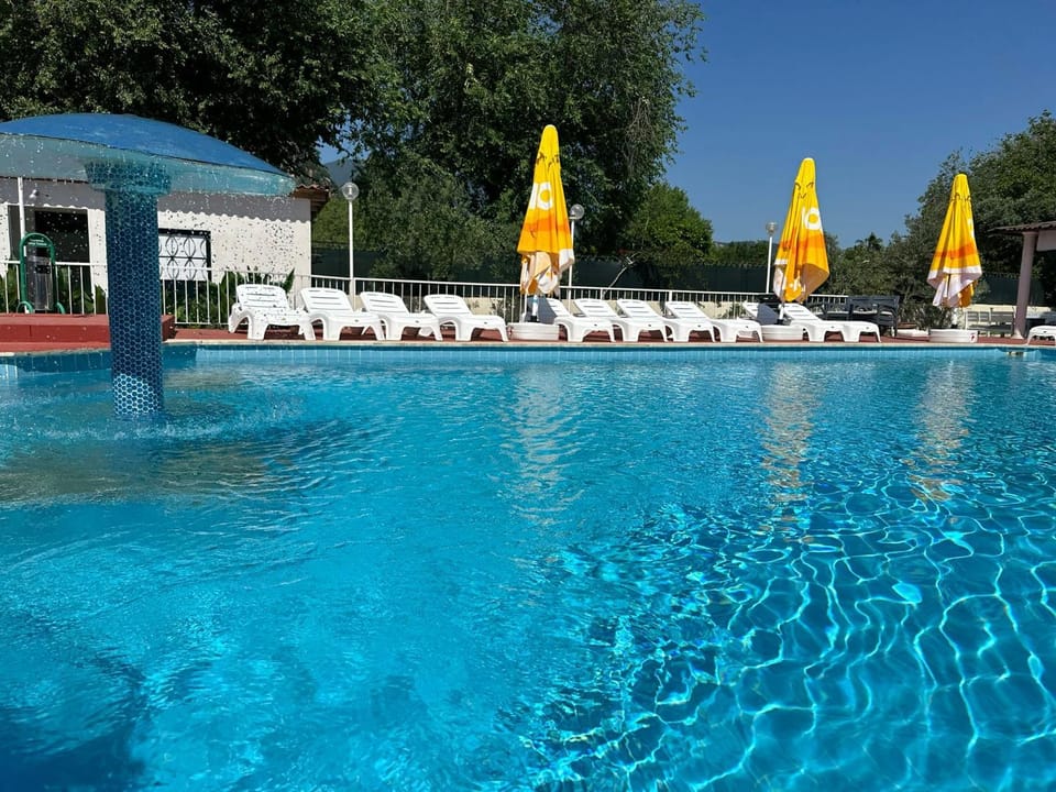 Day, Pool view, Swimming pool, sunbed