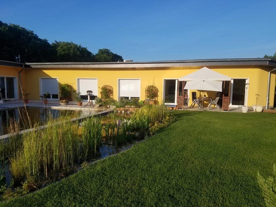 Property building, Garden, Swimming pool, Swimming pool