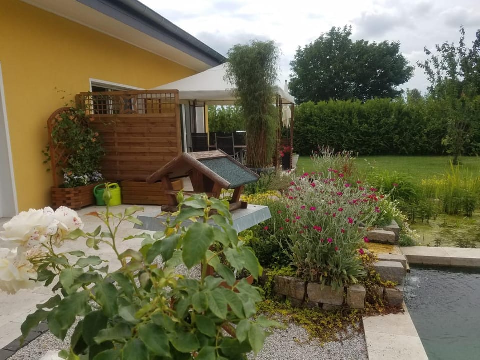 Garden, Balcony/Terrace