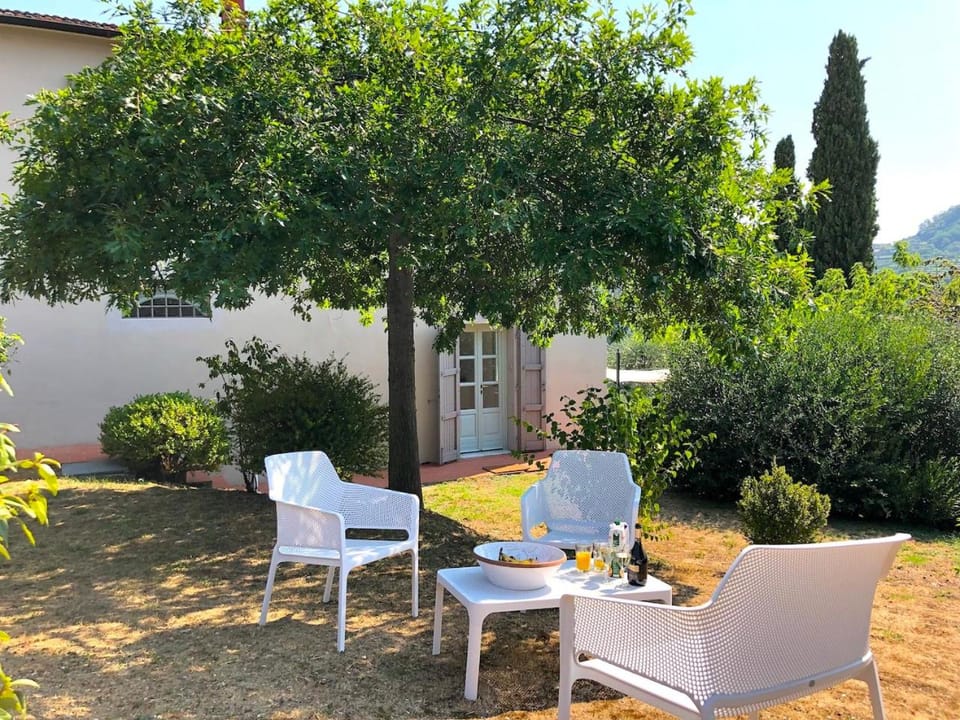 Patio, Garden