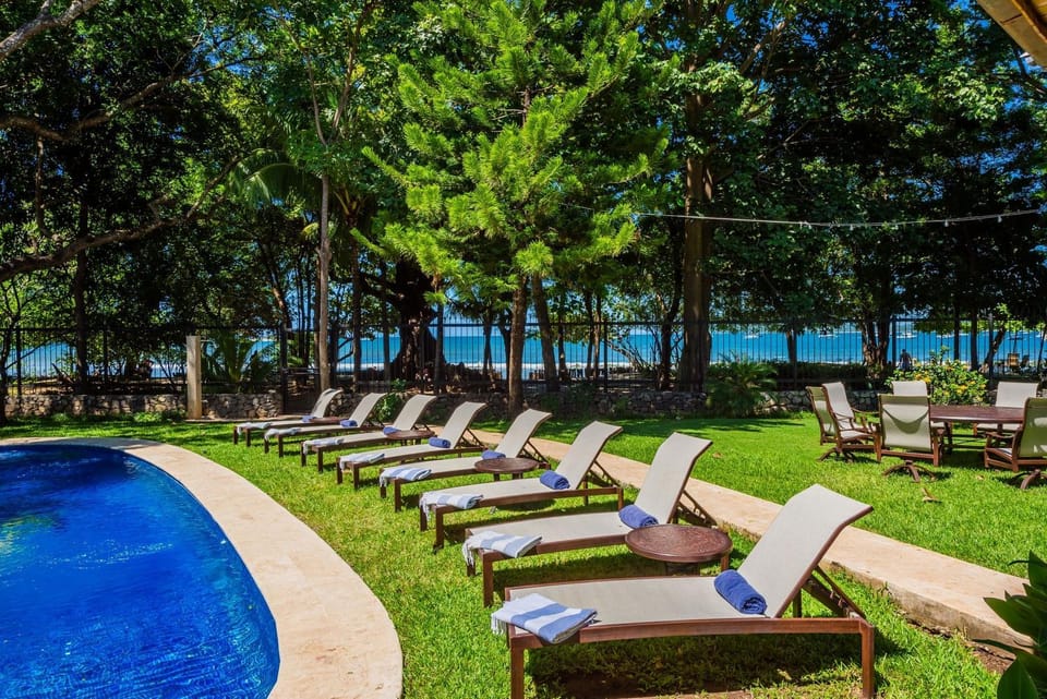 Natural landscape, Garden, Swimming pool