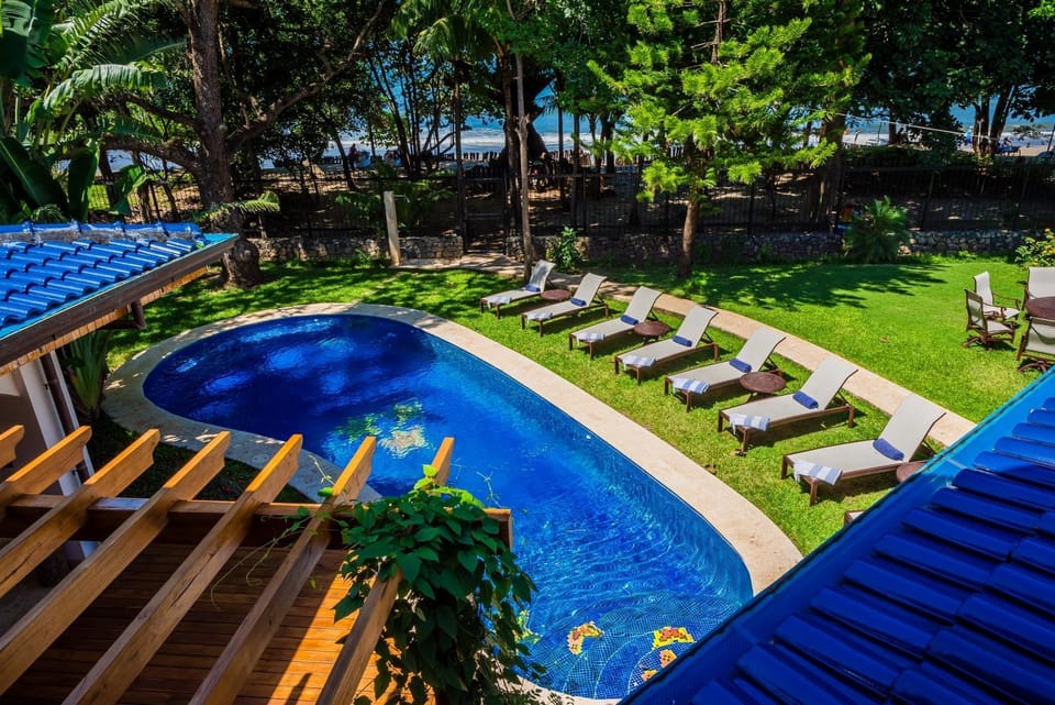 Day, Garden, Garden view, Pool view, Swimming pool, sunbed