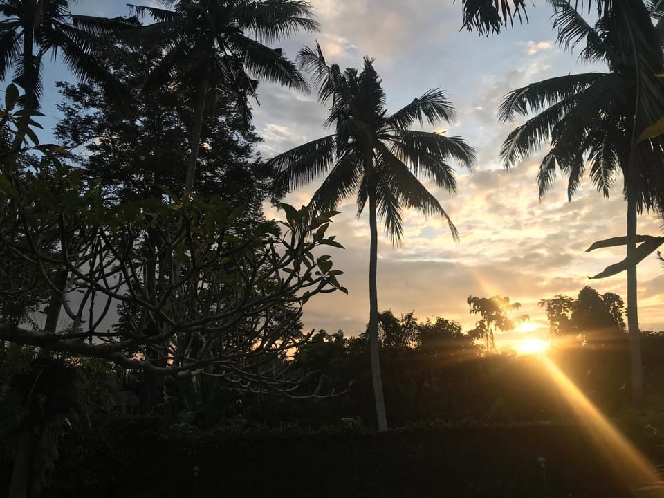 Anomcottages Bed and Breakfast in Payangan
