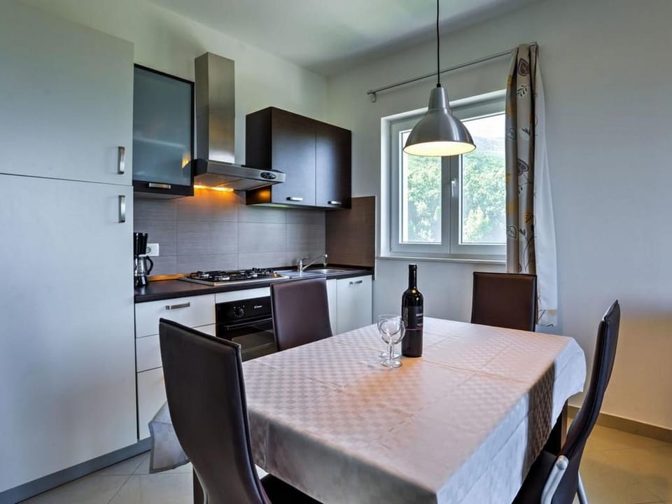 Apartments Villa Tara Apartment in Primorje-Gorski Kotar County