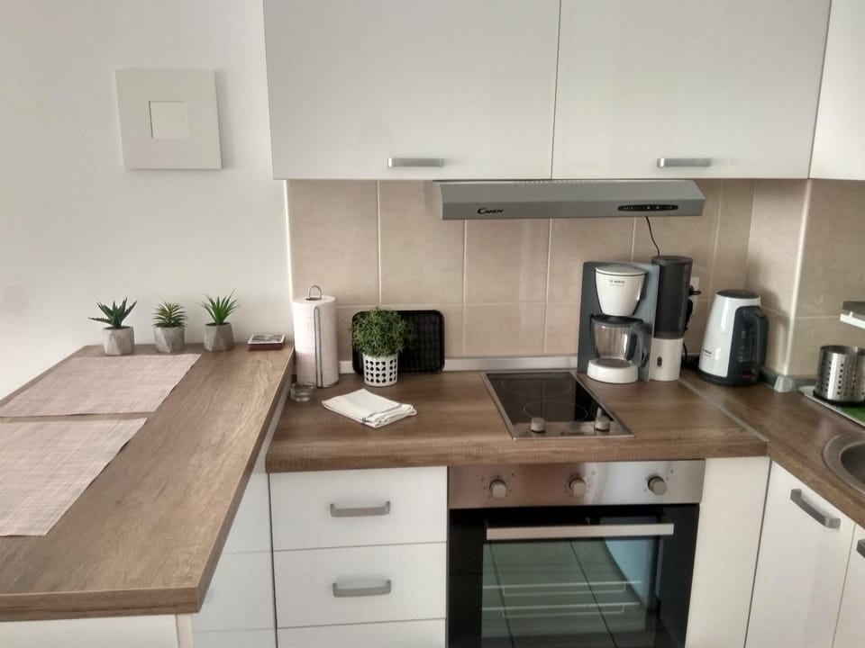 NEW Cosy studio Apartment in Novi Sad