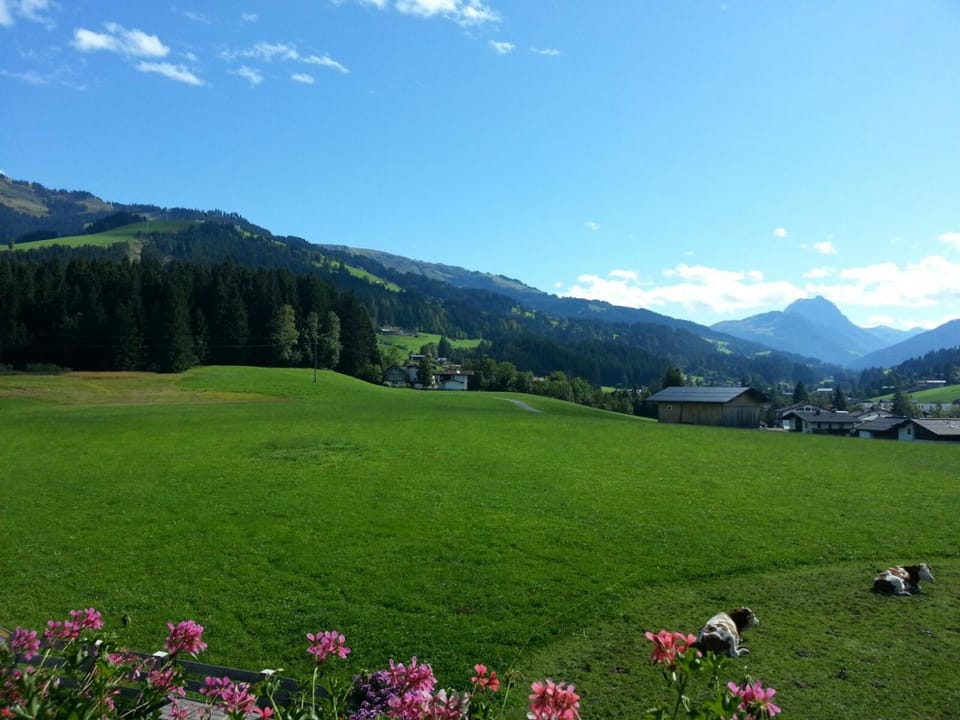 Natural landscape, Mountain view