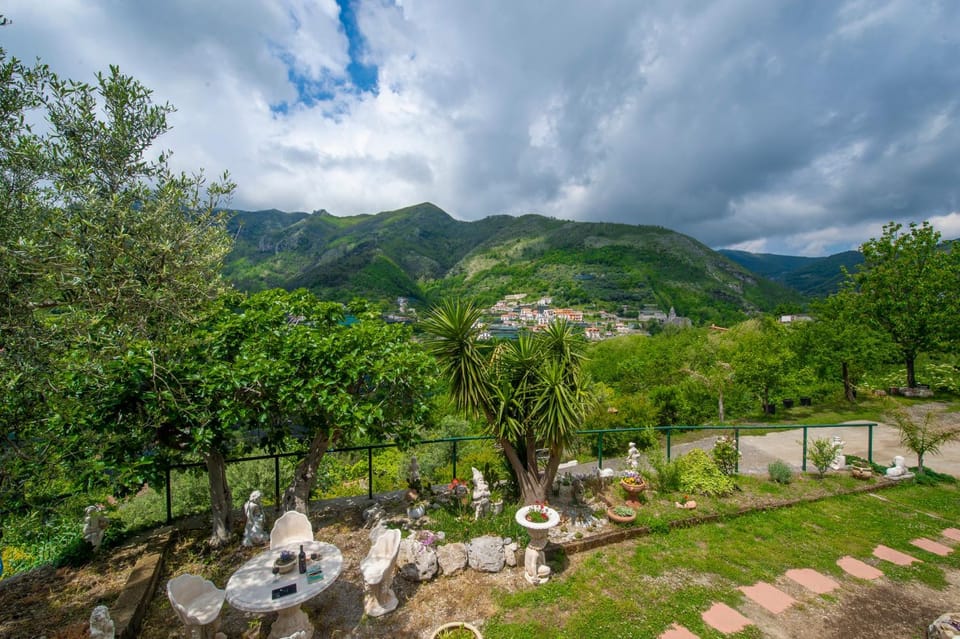 Garden view, Mountain view