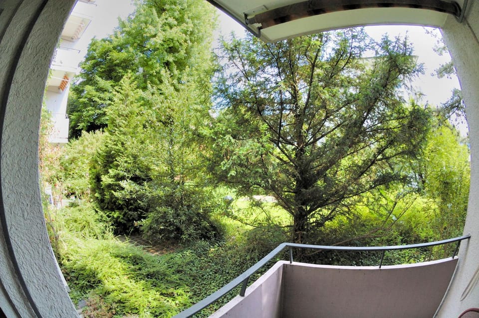 Property building, Garden view