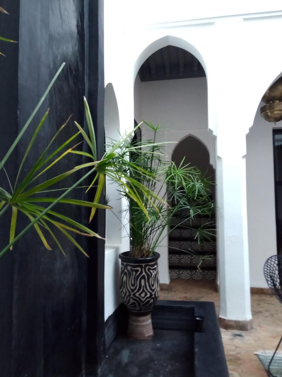 Patio, Garden view