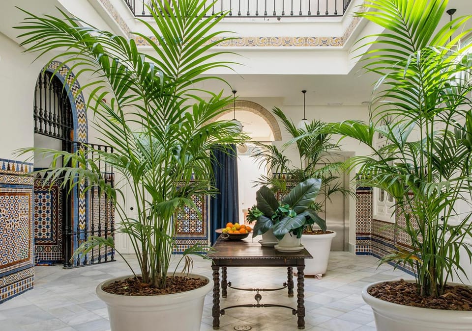 Patio, Patio