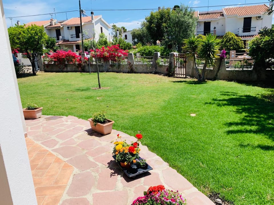 Patio, Garden, Garden, Garden view