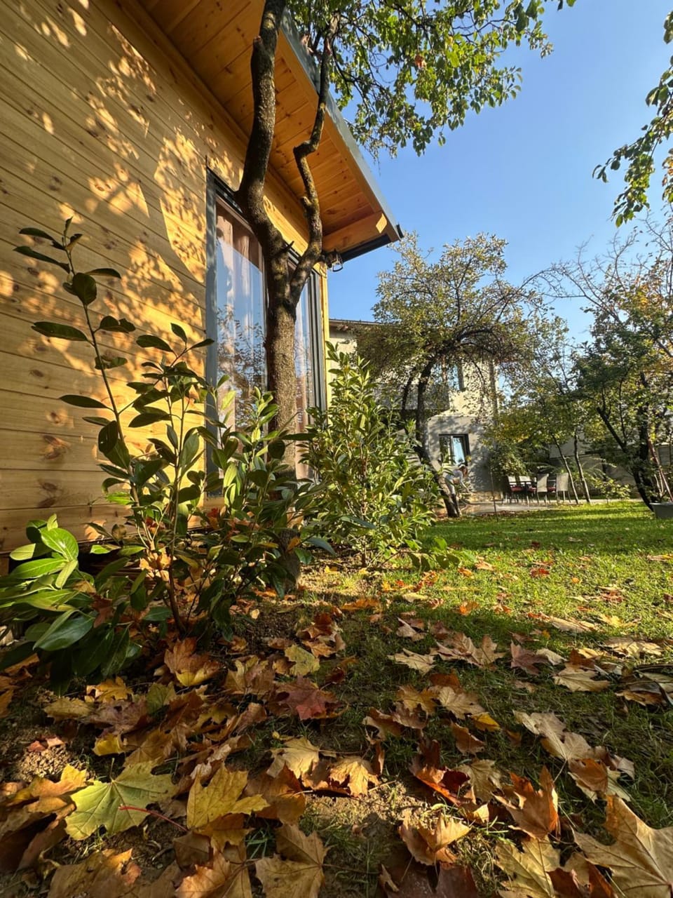Property building, Garden view