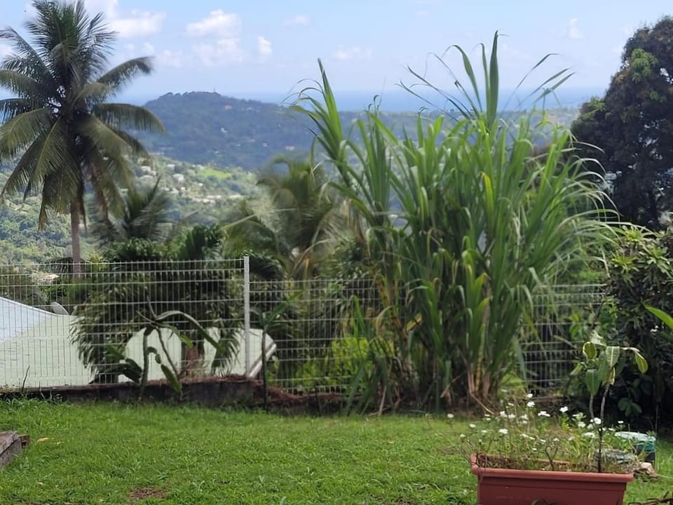 View (from property/room)