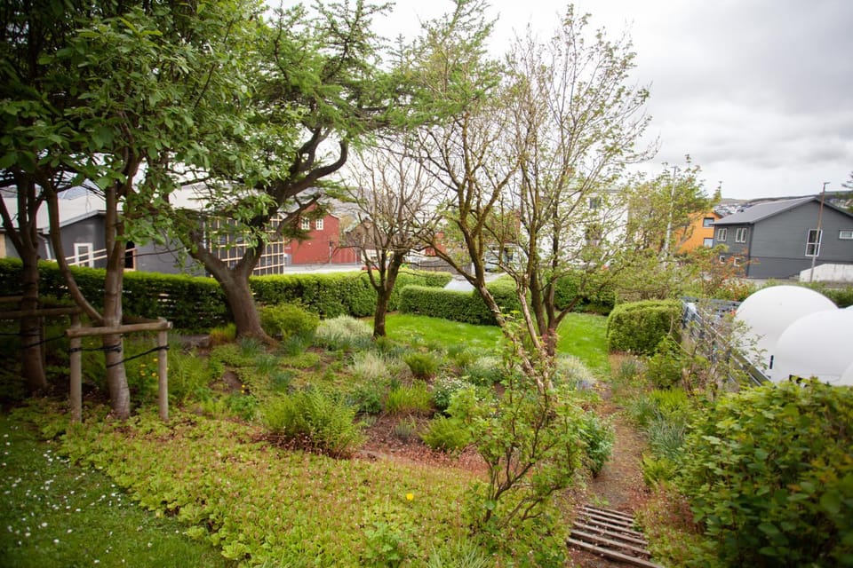 Natural landscape, Garden