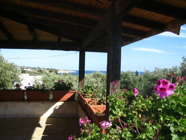 Balcony/Terrace, Sea view