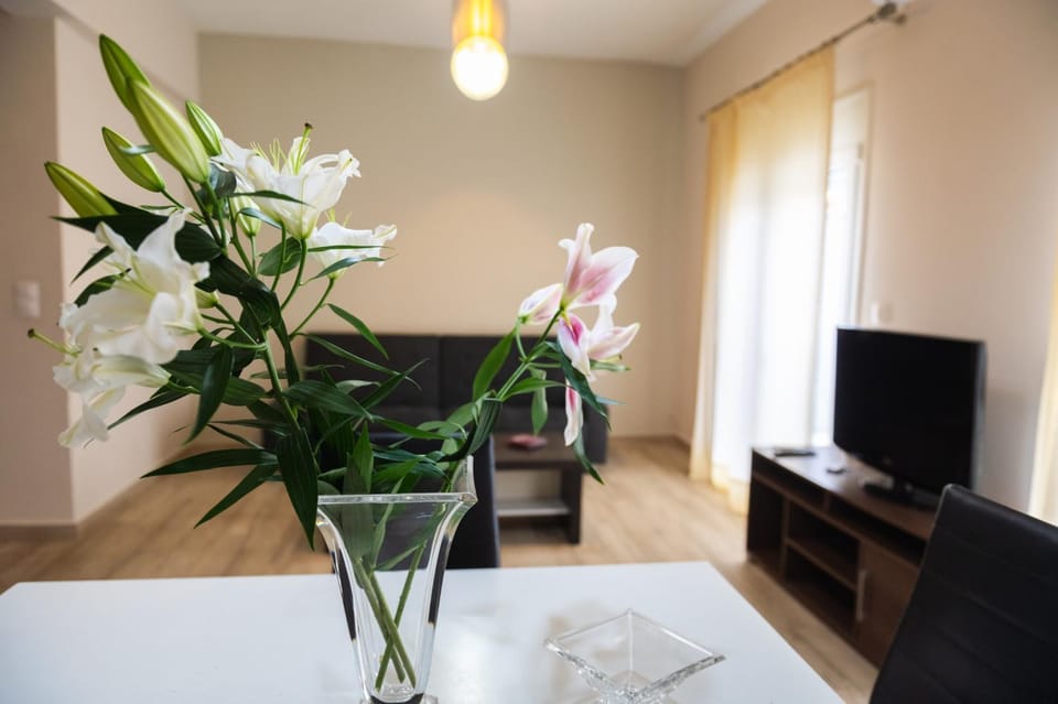 CENTRAL LUXURIOUS SUITE NEAR LIGHTHOUSE Apartment in Alexandroupoli