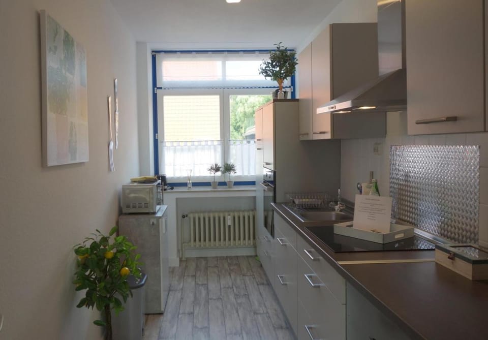 Kitchen or kitchenette, kitchen