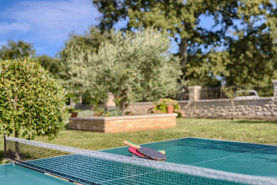 Garden, Table tennis