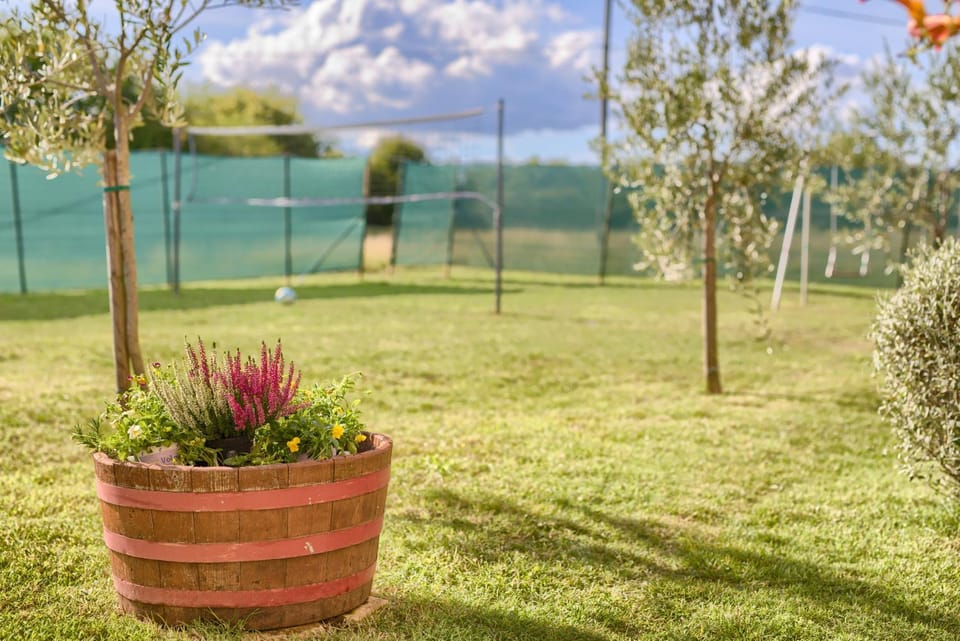 Activities, Garden