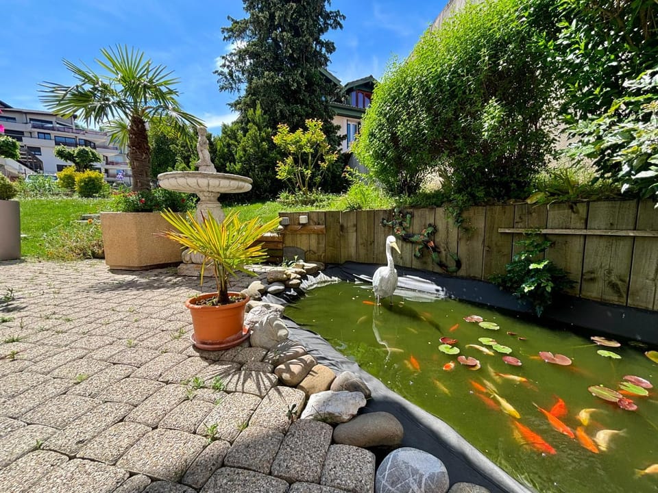 Patio, Pets