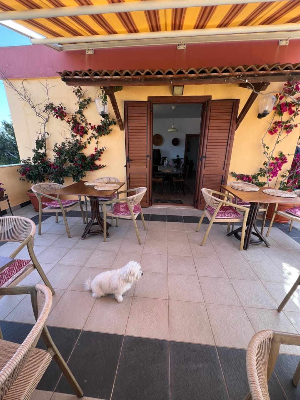Sand'Ana House B&b Bed and Breakfast in Alghero