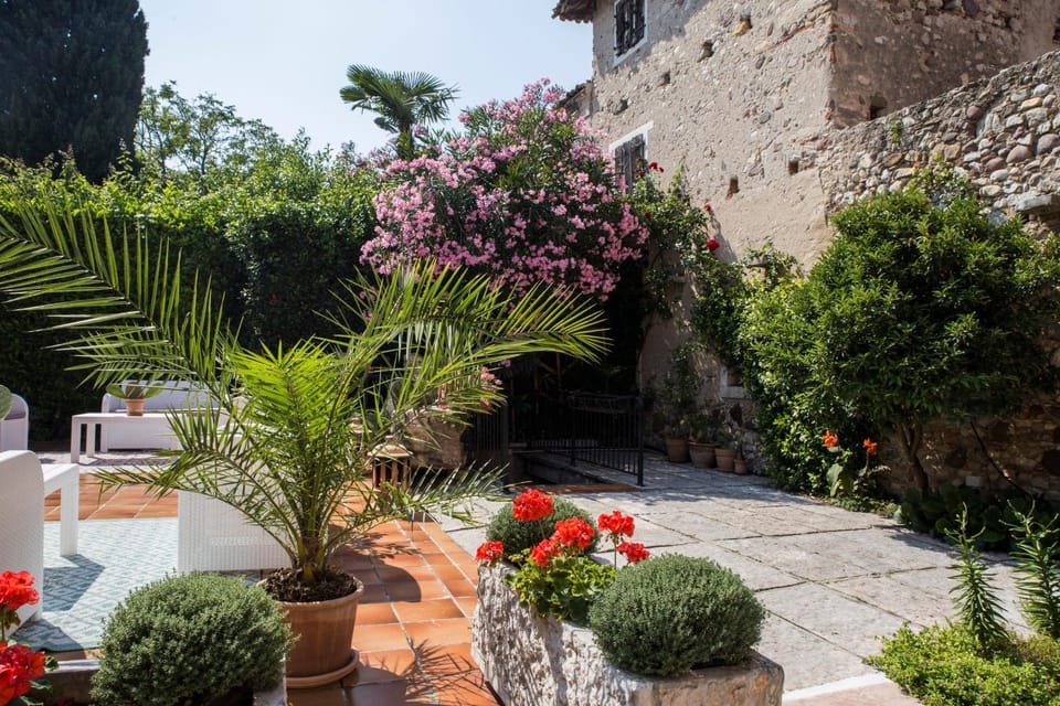 Patio, Garden