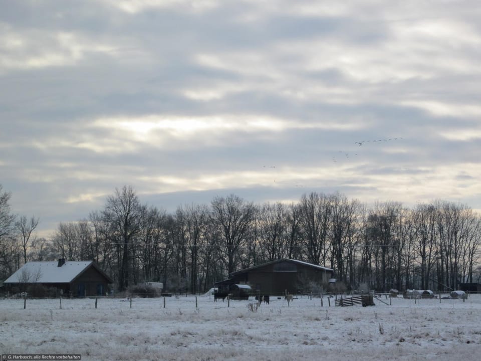 Property building, Natural landscape, Winter