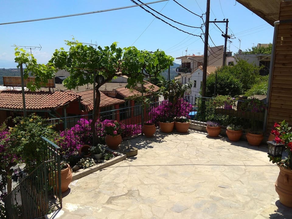 Garden, Garden view