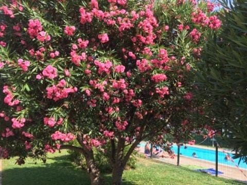 LesJardinsFleuris Apartment in Mandelieu-La Napoule