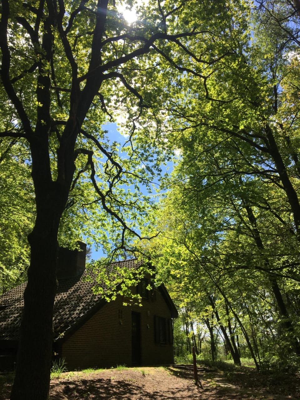 't Aarthuis House in Epe