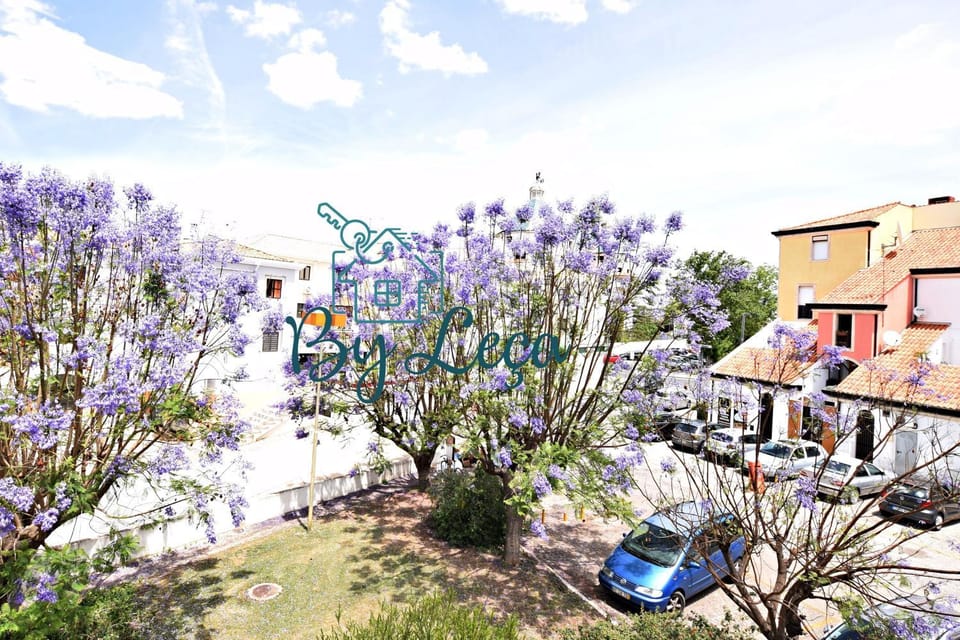 Neighbourhood, City view, Street view
