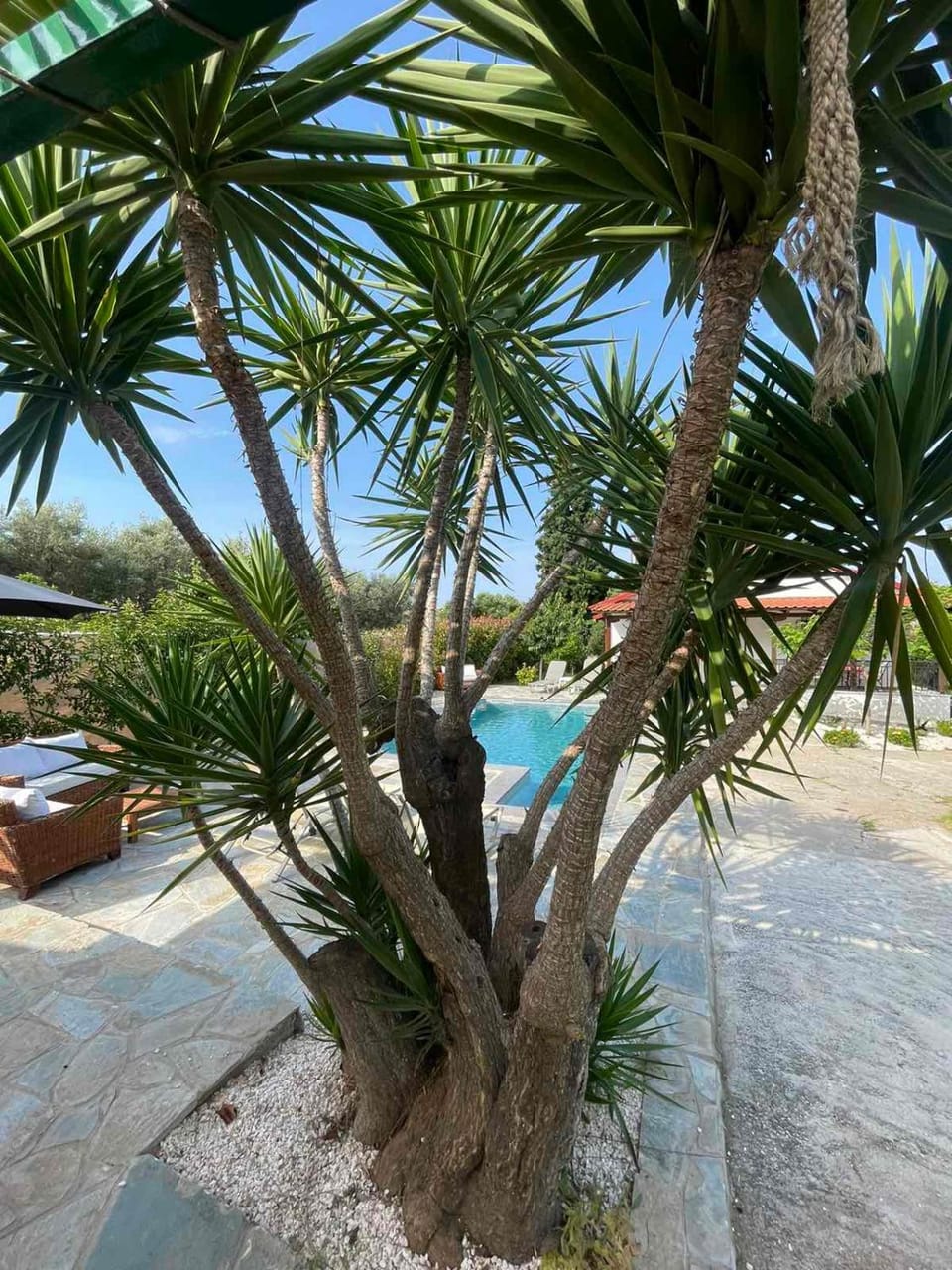 VILA KALIMERA private pool House in Halkidiki