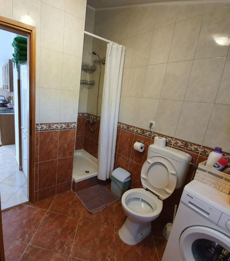 Anja Apartment in Istria County