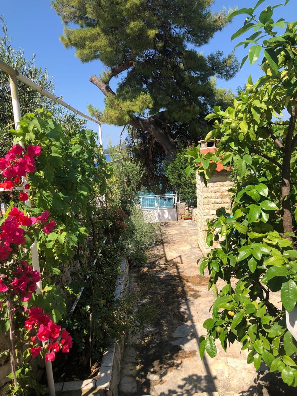 Perla & Palma House in Šibenik-Knin County, Croatia