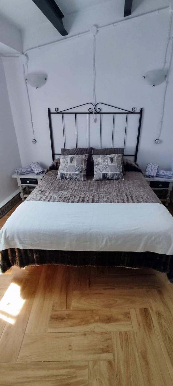 ATICO Loli Apartment in Berga
