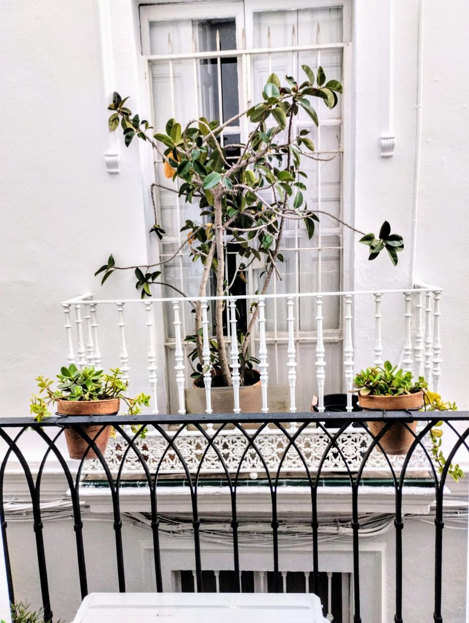 View (from property/room), Balcony/Terrace, Street view