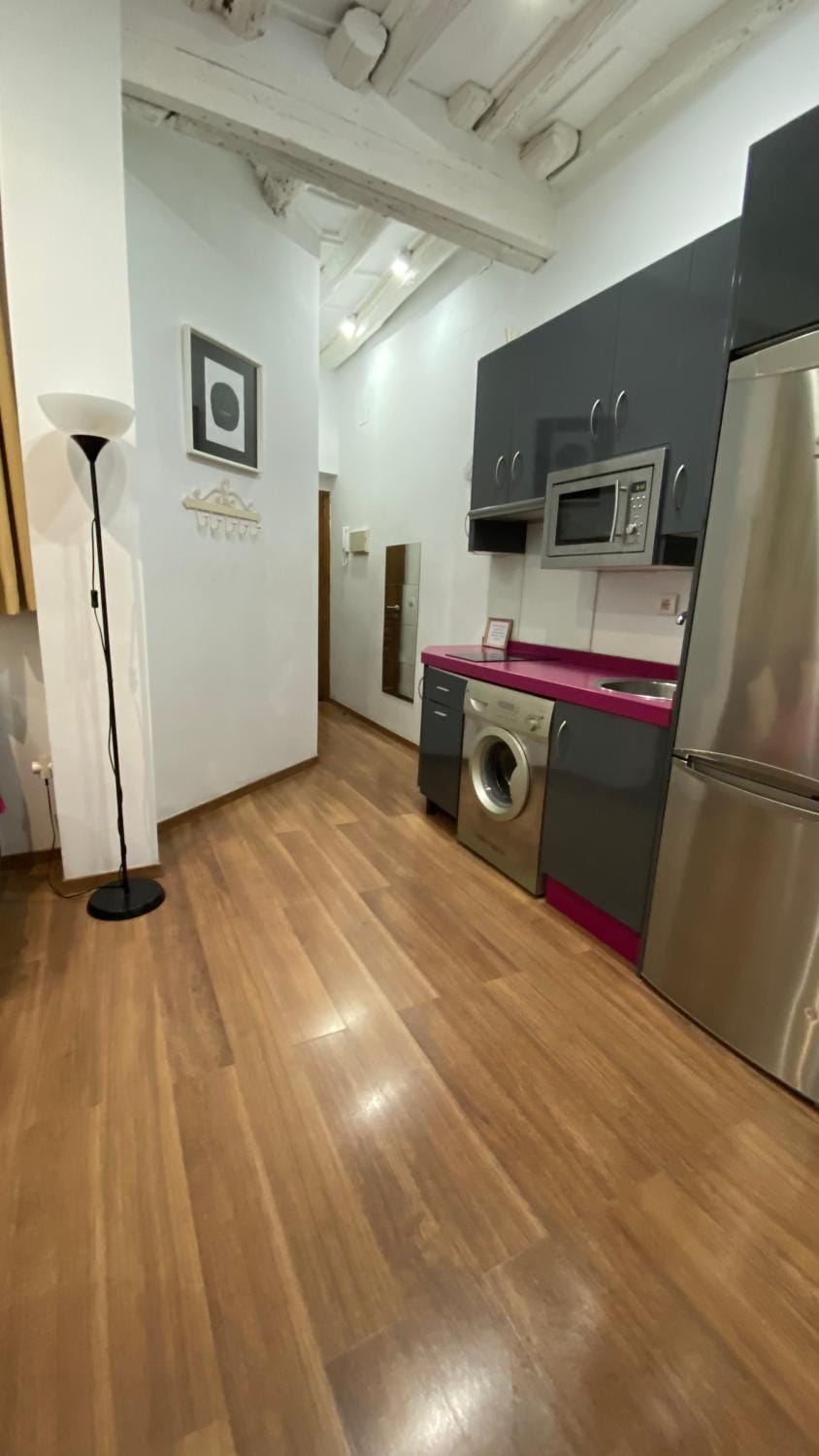 Coffee/tea facilities, Kitchen or kitchenette, Photo of the whole room, flat iron, oven, stove, toaster