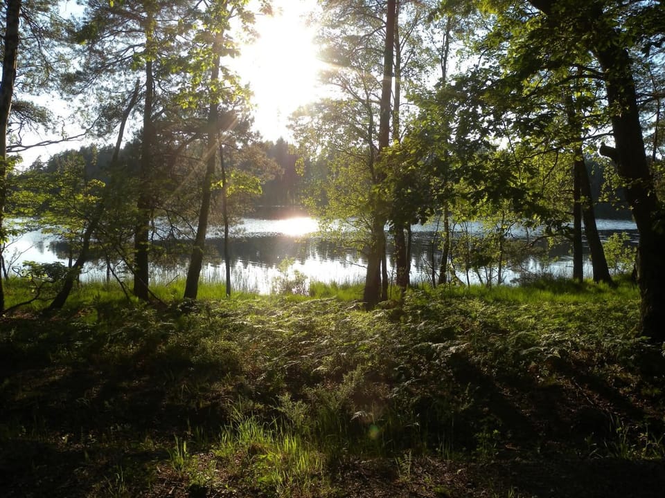Chatki u Patki Nature lodge in Pomeranian Voivodeship
