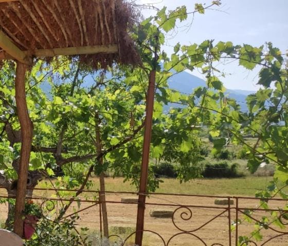 Bujtina Polimen Bed and Breakfast in North Macedonia