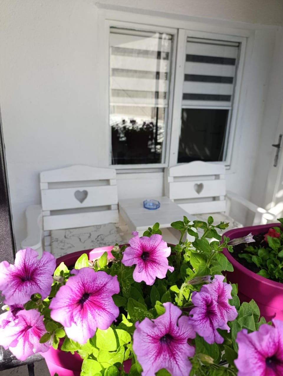 ŠEHER Kuća Apartment in Sarajevo