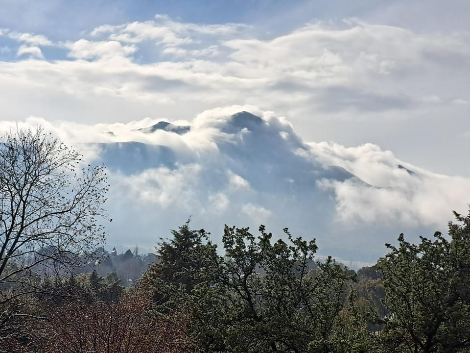 View (from property/room)