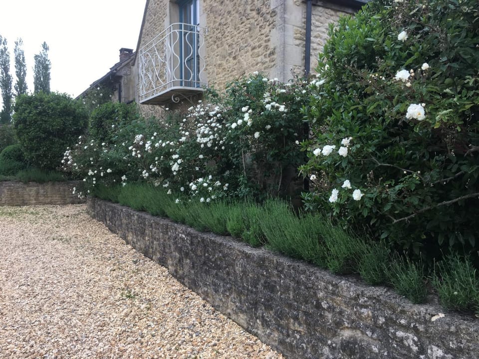 Property building, Garden