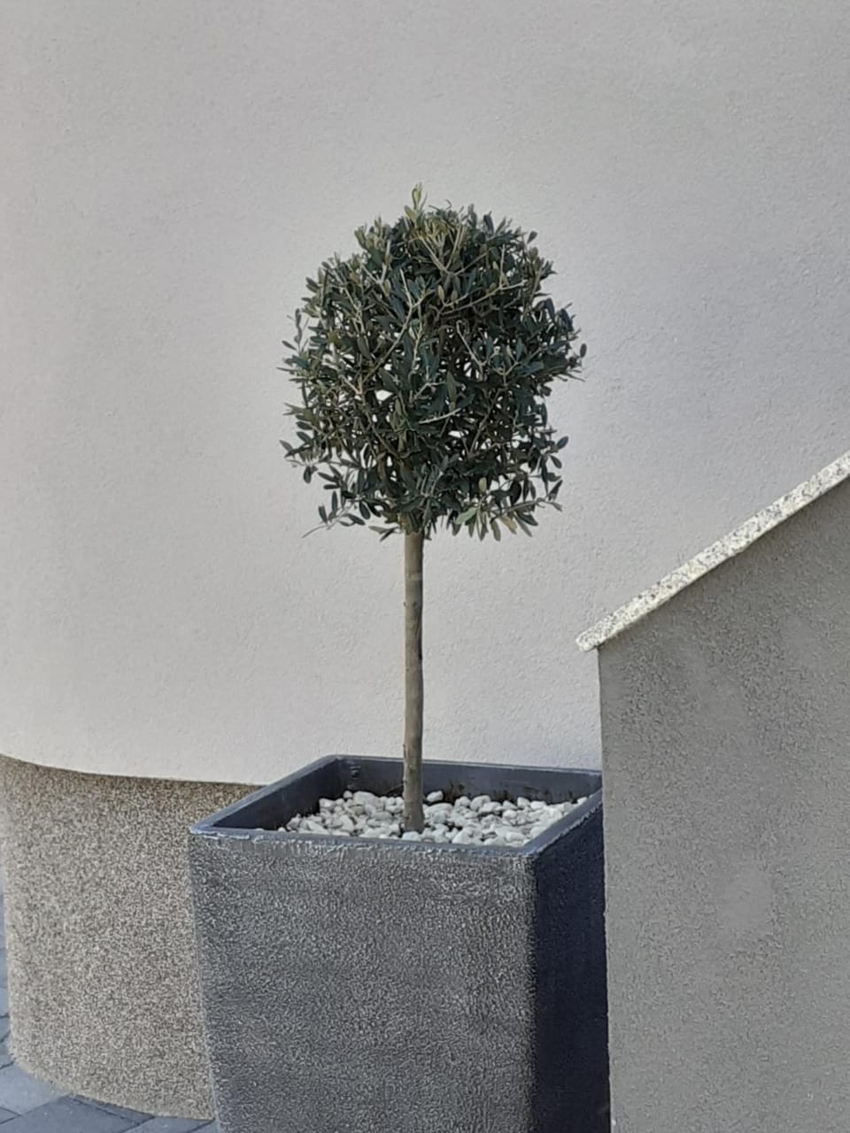 Property building, Garden